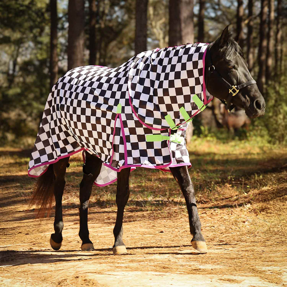 Jeffers Expression Softmesh Combo Neck Horse Fly Sheet, black-and-white checkered sheet with pink trim and neon straps.