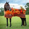 Cargar la imagen en la vista de la galería, Jeffers Expression Standard Neck Fleece Horse Cooler
