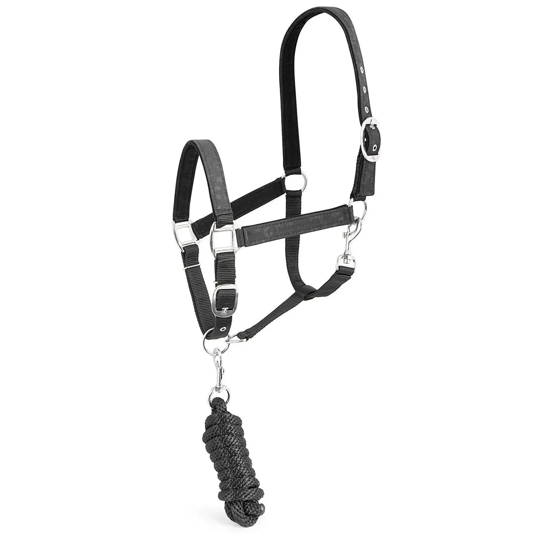 Jeffers Matching Horse Halter &amp; Lead Rope 2 Piece Set, Full Size