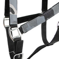 Bild in Galerie-Betrachter laden, Jeffers Matching Horse Halter & Lead Rope 2 Piece Set, Full Size
