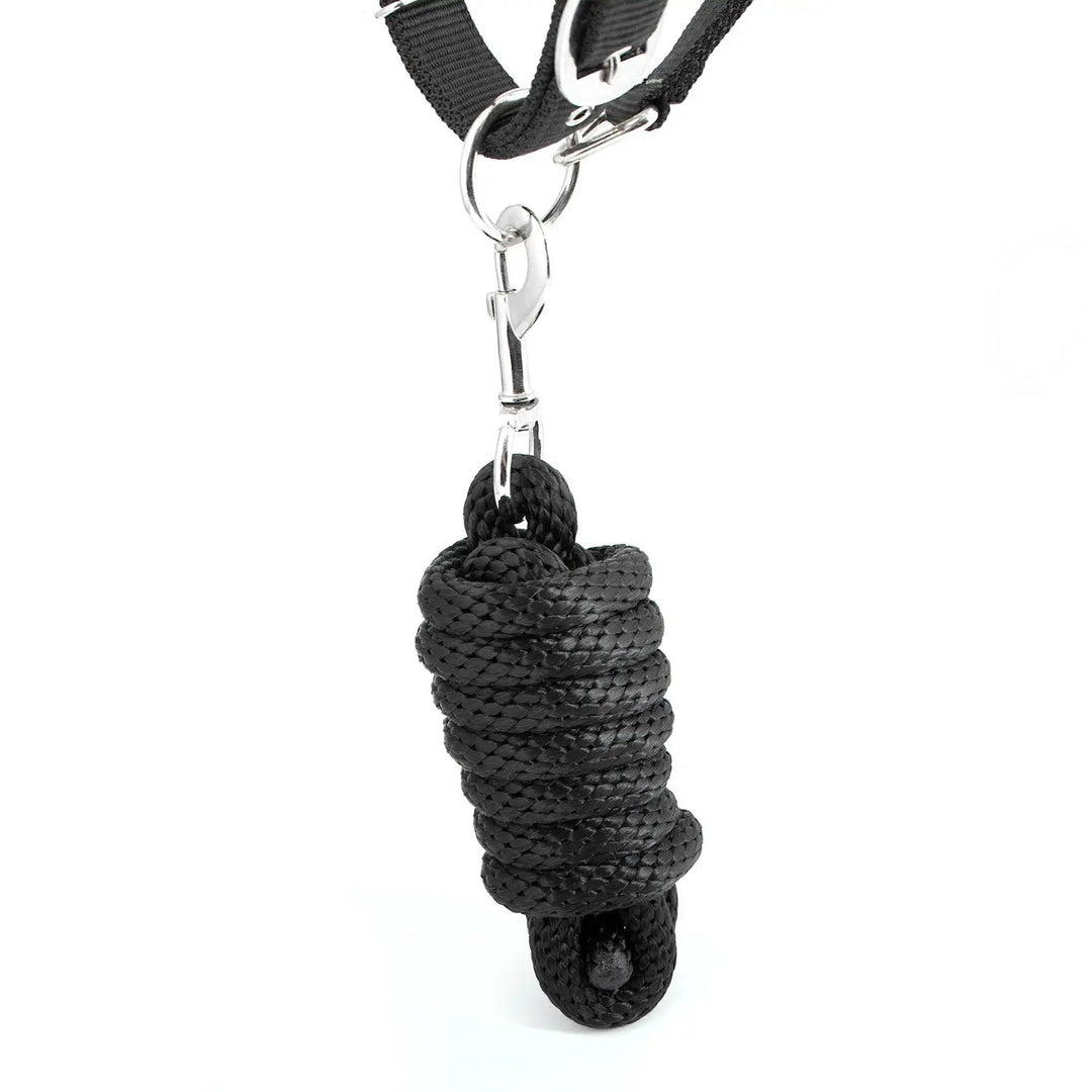 Jeffers Matching Horse Halter &amp; Lead Rope 2 Piece Set, Full Size