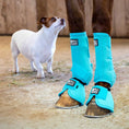 Bild in Galerie-Betrachter laden, Jeffers Protective Horse Boots, Solid Colors, 2-Pack
