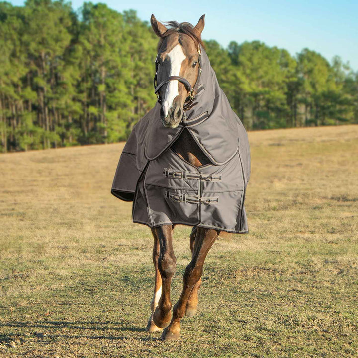 Jeffers Poplar Head Defense 1680D Detachable Neck Turnout Blanket, 360g, Plymouth Brown