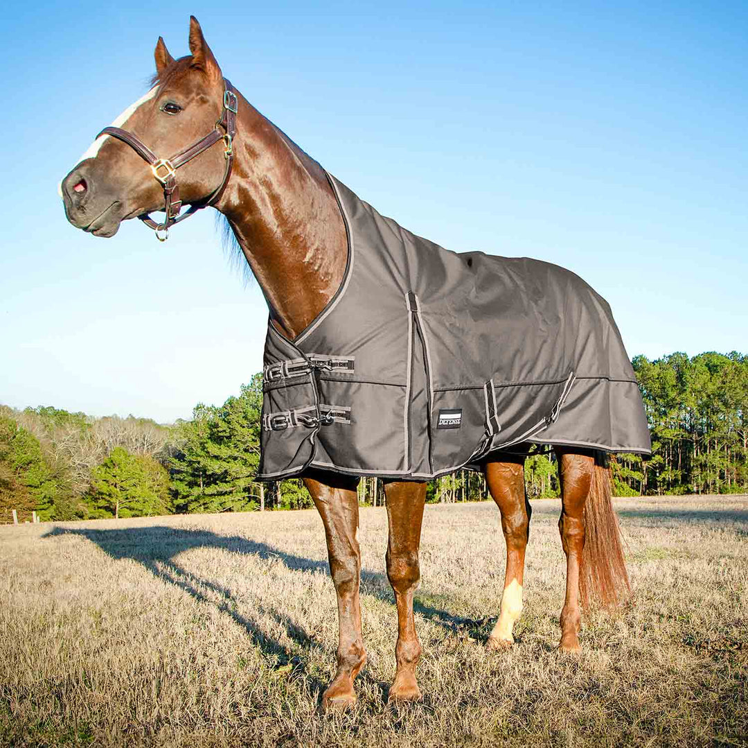 Jeffers Poplar Head Defense 1680D High Neck Turnout Blanket, 240g, Plymouth Brown