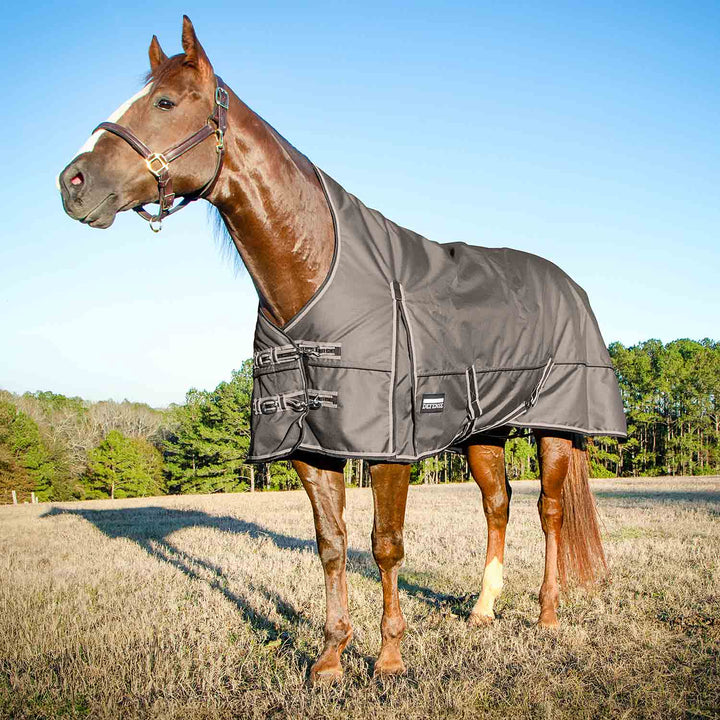 Jeffers Poplar Head Defense 1680D High Neck Turnout Blanket, 240g, Plymouth Brown