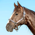Bild in Galerie-Betrachter laden, Jeffers Matching Horse Halter & Lead Rope 2 Piece Set, Full Size
