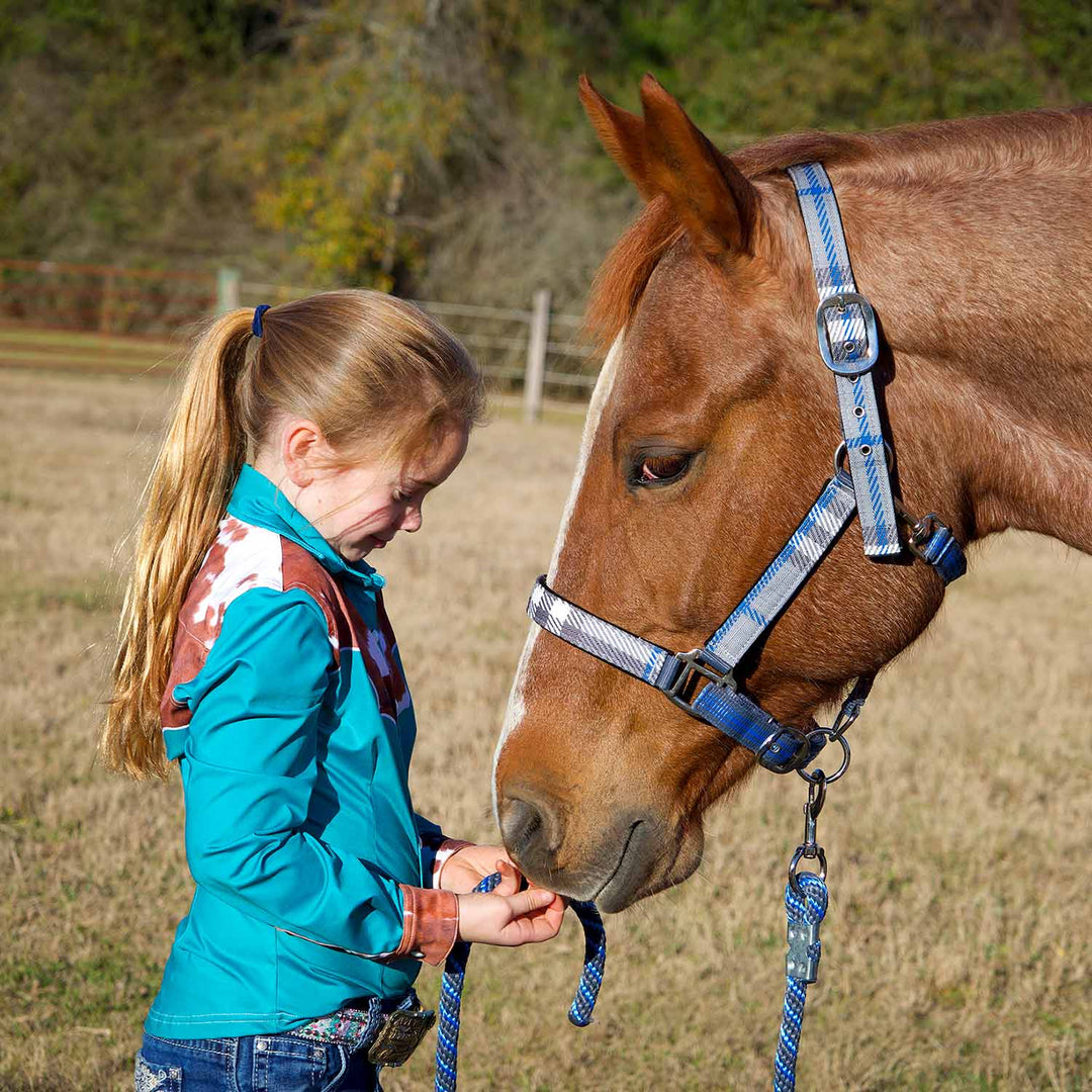 Jeffers Matching Horse Halter &amp; Lead Rope 2 Piece Set, Full Size