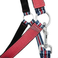 Bild in Galerie-Betrachter laden, Jeffers Matching Horse Halter & Lead Rope 2 Piece Set, Full Size
