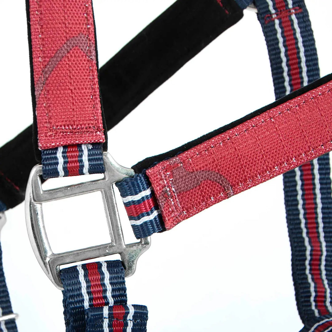Jeffers Matching Horse Halter &amp; Lead Rope 2 Piece Set, Full Size