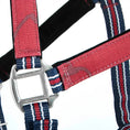 Bild in Galerie-Betrachter laden, Jeffers Matching Horse Halter & Lead Rope 2 Piece Set, Full Size

