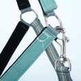 Bild in Galerie-Betrachter laden, Jeffers Matching Horse Halter & Lead Rope 2 Piece Set, Full Size
