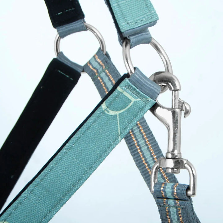 Jeffers Matching Horse Halter &amp; Lead Rope 2 Piece Set, Full Size