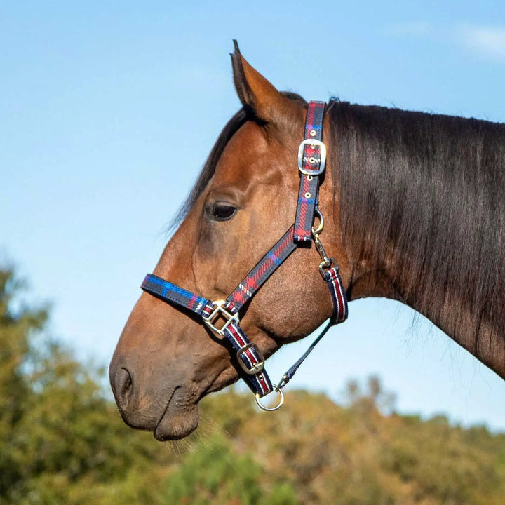 Jeffers Matching Horse Halter &amp; Lead Rope 2 Piece Set, Full Size