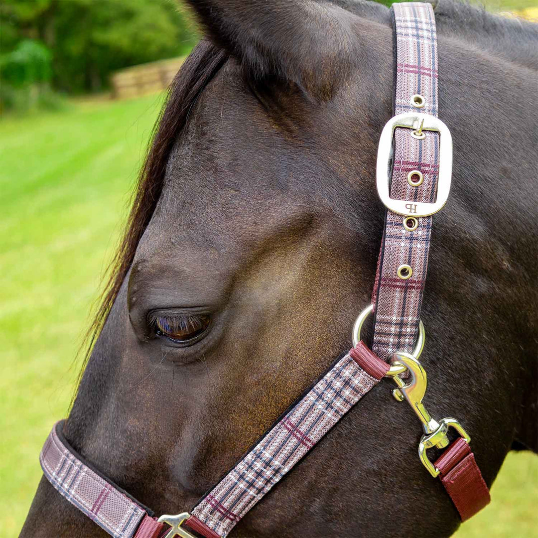 Jeffers Matching Horse Halter &amp; Lead Rope 2 Piece Set, Full Size