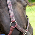 Bild in Galerie-Betrachter laden, Jeffers Matching Horse Halter & Lead Rope 2 Piece Set, Full Size
