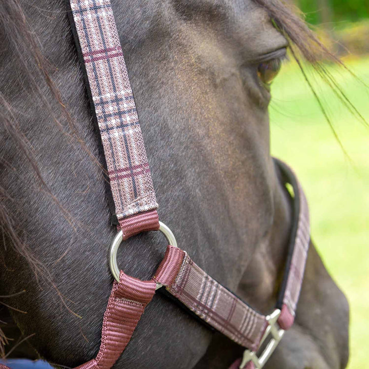 Jeffers Matching Horse Halter &amp; Lead Rope 2 Piece Set, Full Size