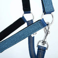 Bild in Galerie-Betrachter laden, Jeffers Matching Horse Halter & Lead Rope 2 Piece Set, Full Size
