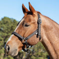 Bild in Galerie-Betrachter laden, Jeffers Matching Horse Halter & Lead Rope 2 Piece Set, Full Size
