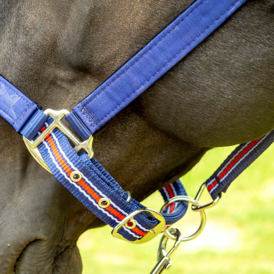 Jeffers Matching Horse Halter &amp; Lead Rope 2 Piece Set, Full Size