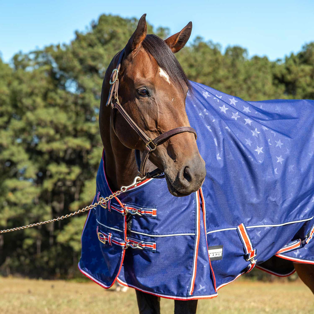 Jeffers Poplar Head Origin 600D Turnout Blanket, 240g