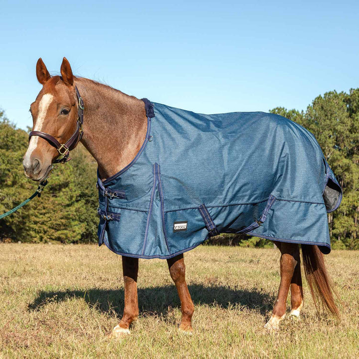 Jeffers Poplar Head Origin 600D Turnout Blanket, 240g