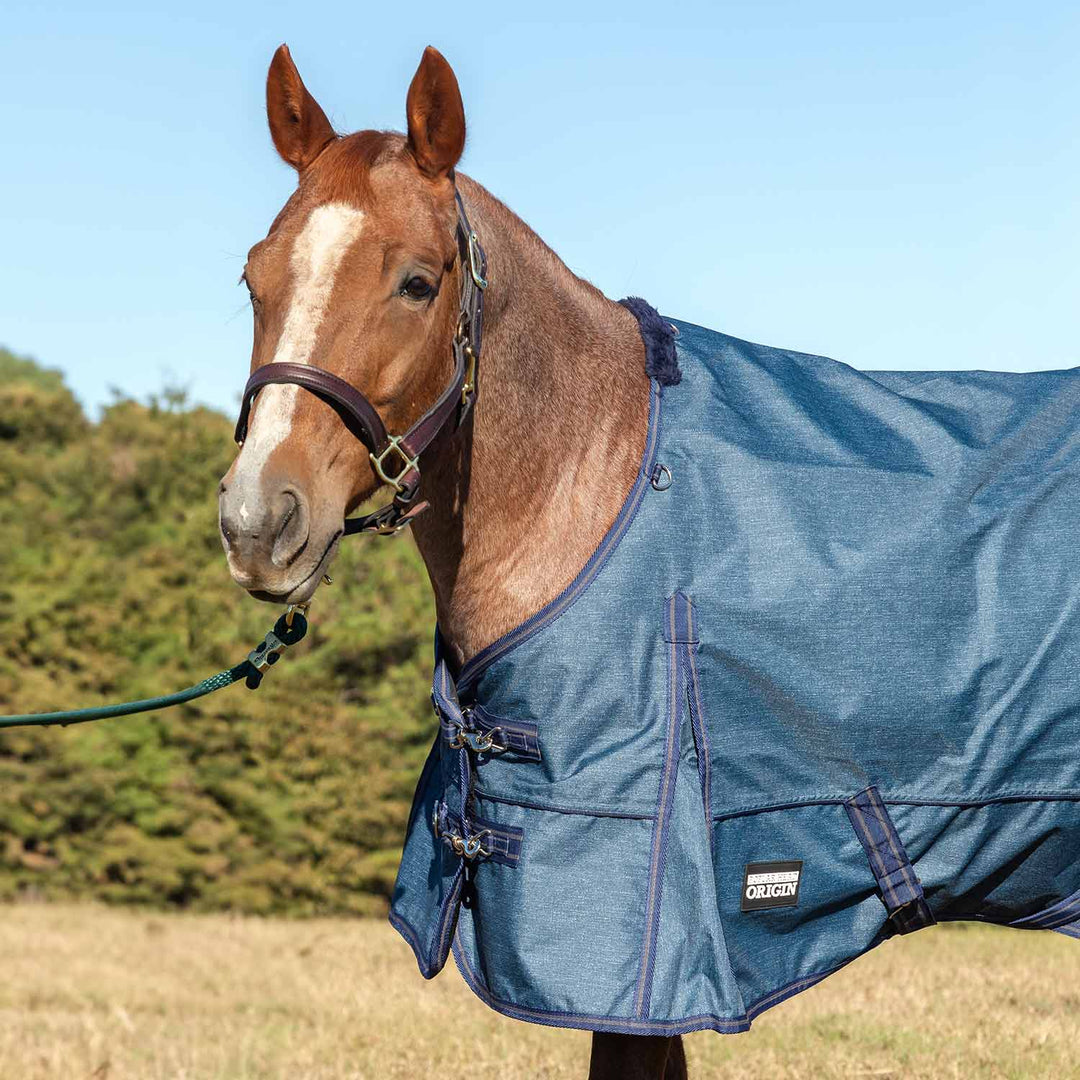 Jeffers Poplar Head Origin 600D Turnout Blanket, 240g