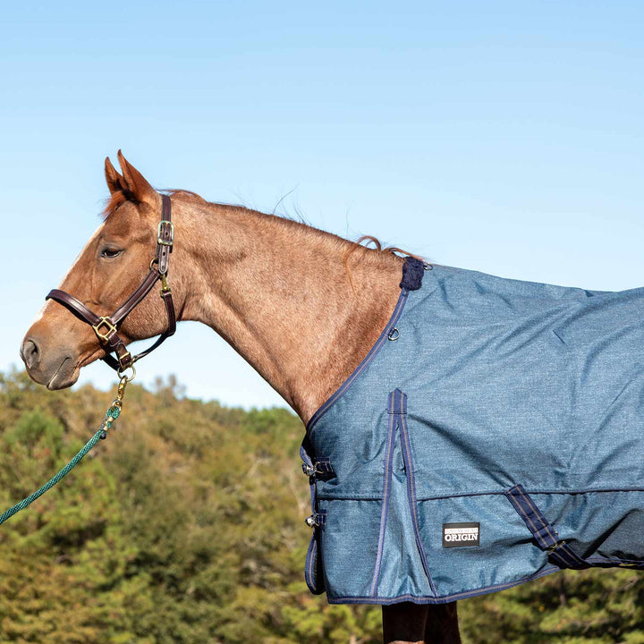 Jeffers Poplar Head Origin 600D Turnout Blanket, 240g