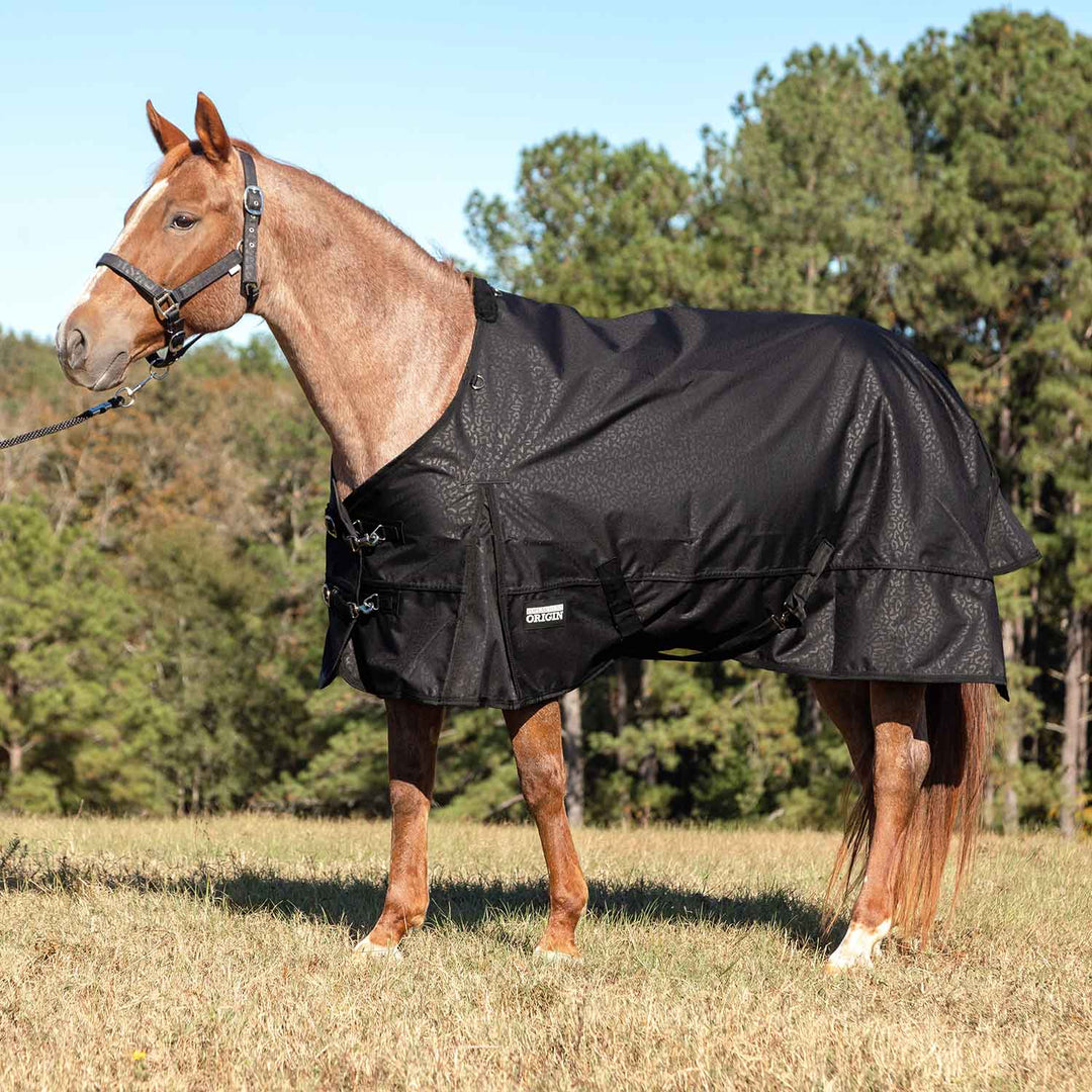 Jeffers Poplar Head Origin 600D Turnout Blanket, 240g