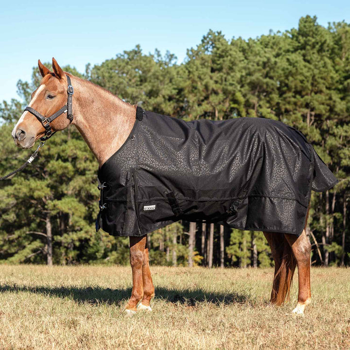 Jeffers Poplar Head Origin 600D Turnout Blanket, 240g