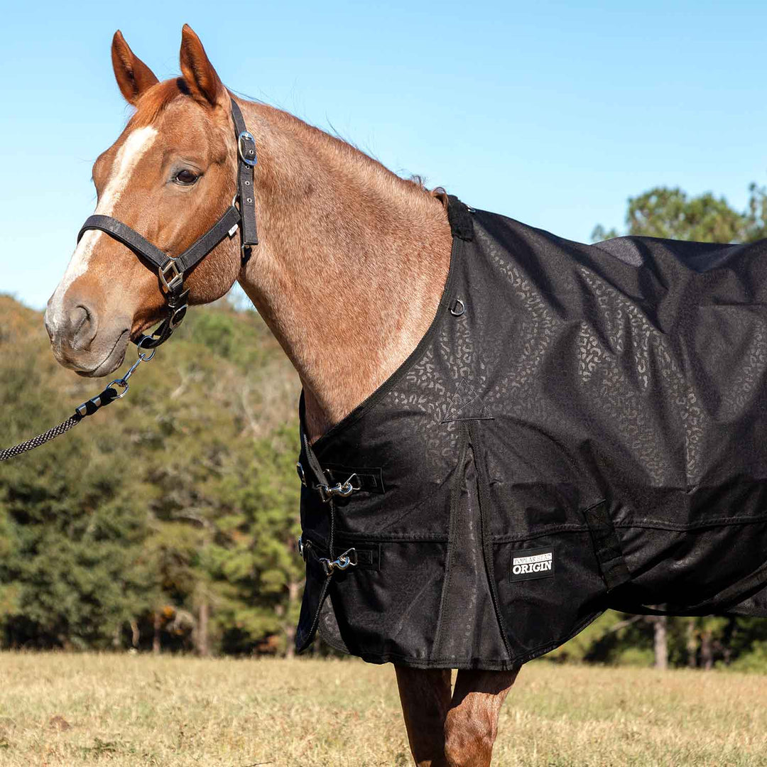 Jeffers Poplar Head Origin 600D Turnout Blanket, 240g