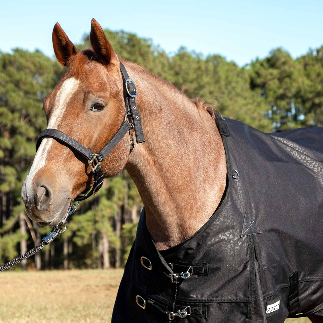 Jeffers Poplar Head Origin 600D Turnout Blanket, 240g