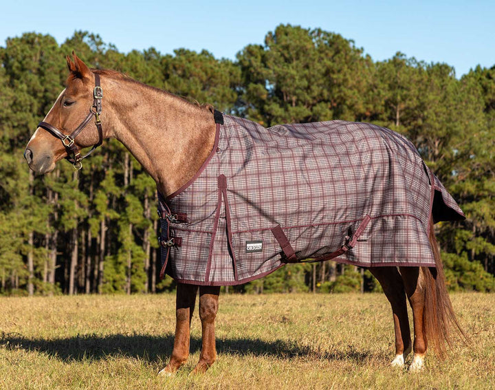 Jeffers Poplar Head Origin 600D Turnout Blanket, 240g