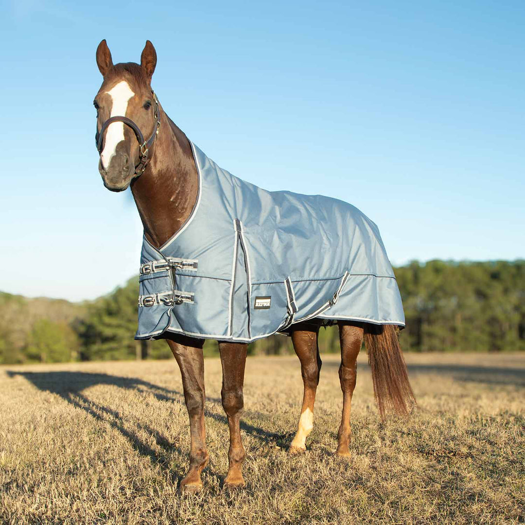 Jeffers Poplar Head Refuge 1200D High Neck Turnout Blanket, 240g, Hamilton Blue