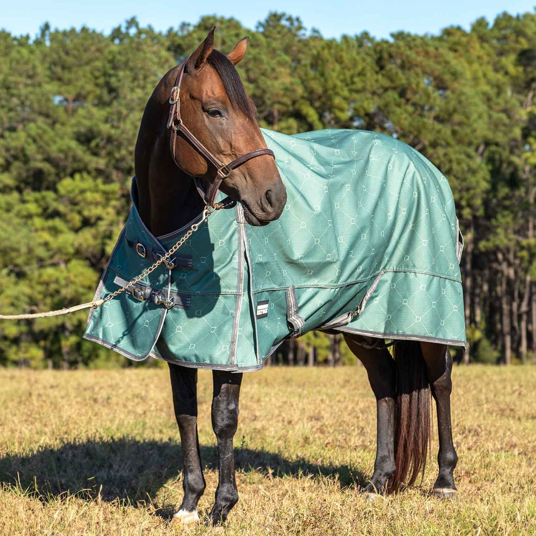 Jeffers Poplar Head Uniquely English 1200D Turnout Blanket, 240g