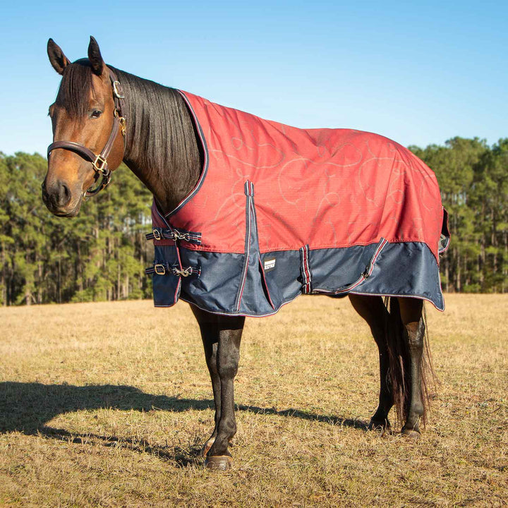 Jeffers Poplar Head Uniquely English 1200D High Neck Turnout Blanket, 240g, Merlot Snaffles and Irons