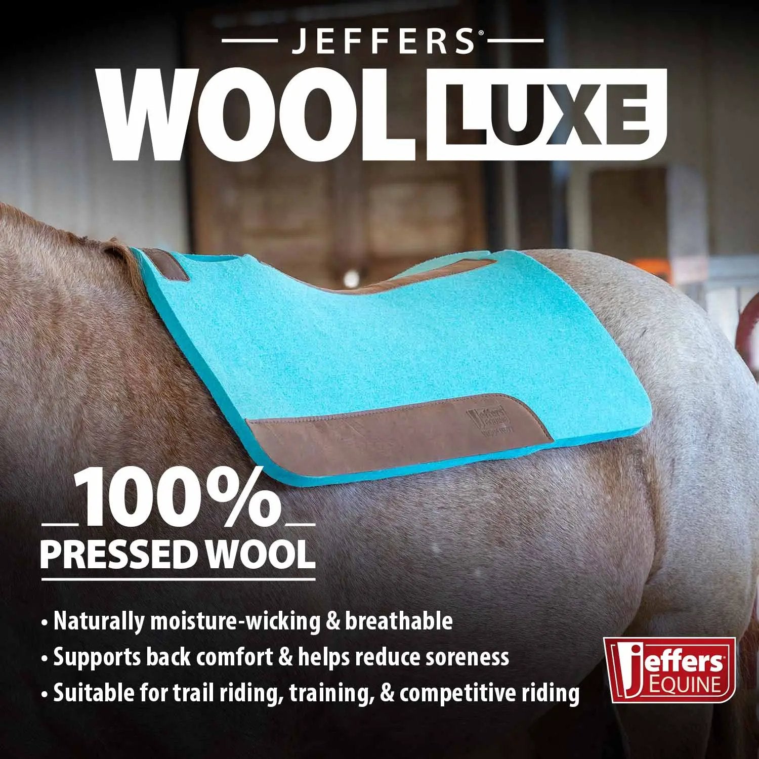 Jeffers WoolLuxe 100% wool saddle pad in turquoise on a horse; cushioned, breathable with brown leather patches.