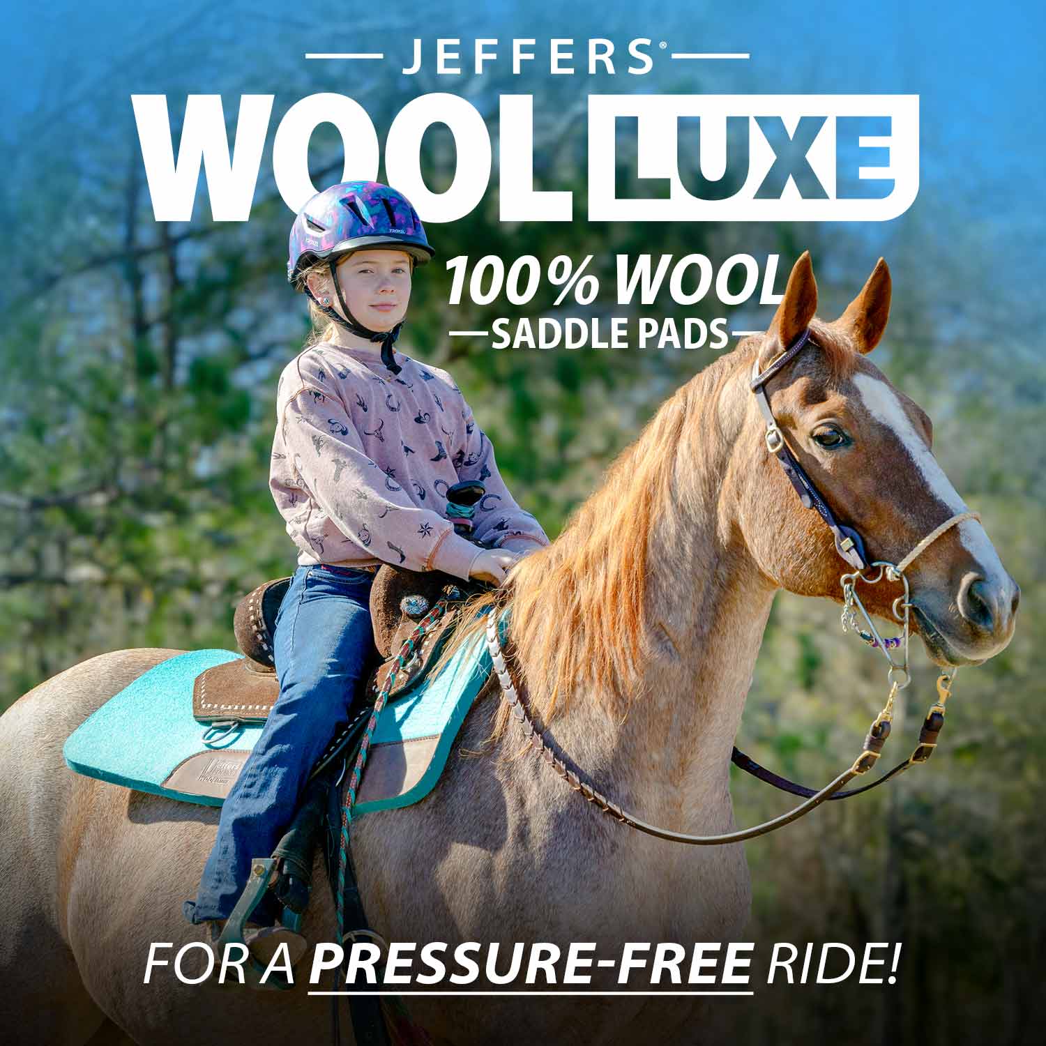 Saddle pad Jeffers WoolLuxe 100% wool, turquoise cushioned pad on horse