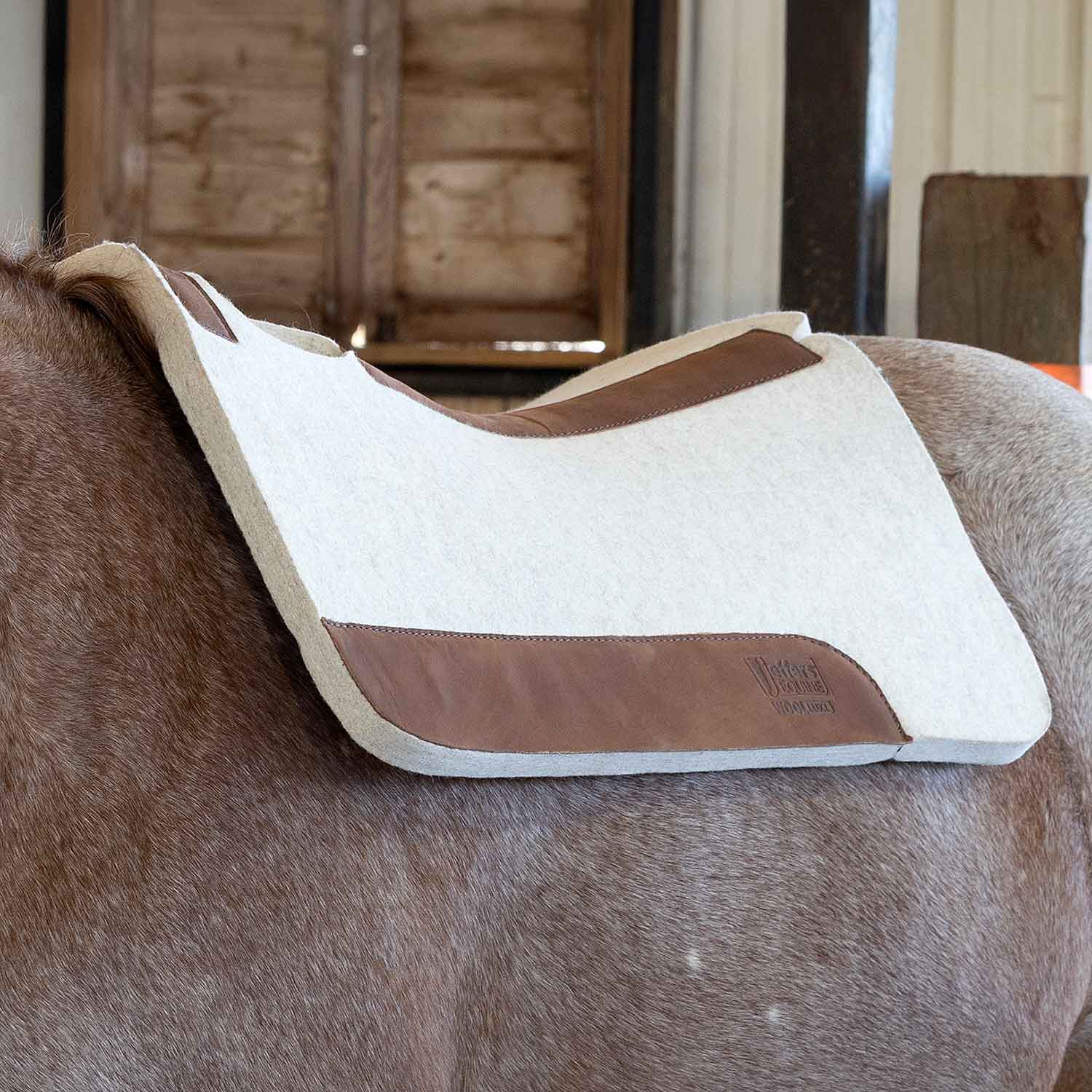 Jeffers WoolLuxe 100% Wool Equine Saddle Pad, white with brown leather trim