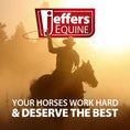 Load image into Gallery viewer, Jeffers Elite Fleece Horse Cooler Blanket

