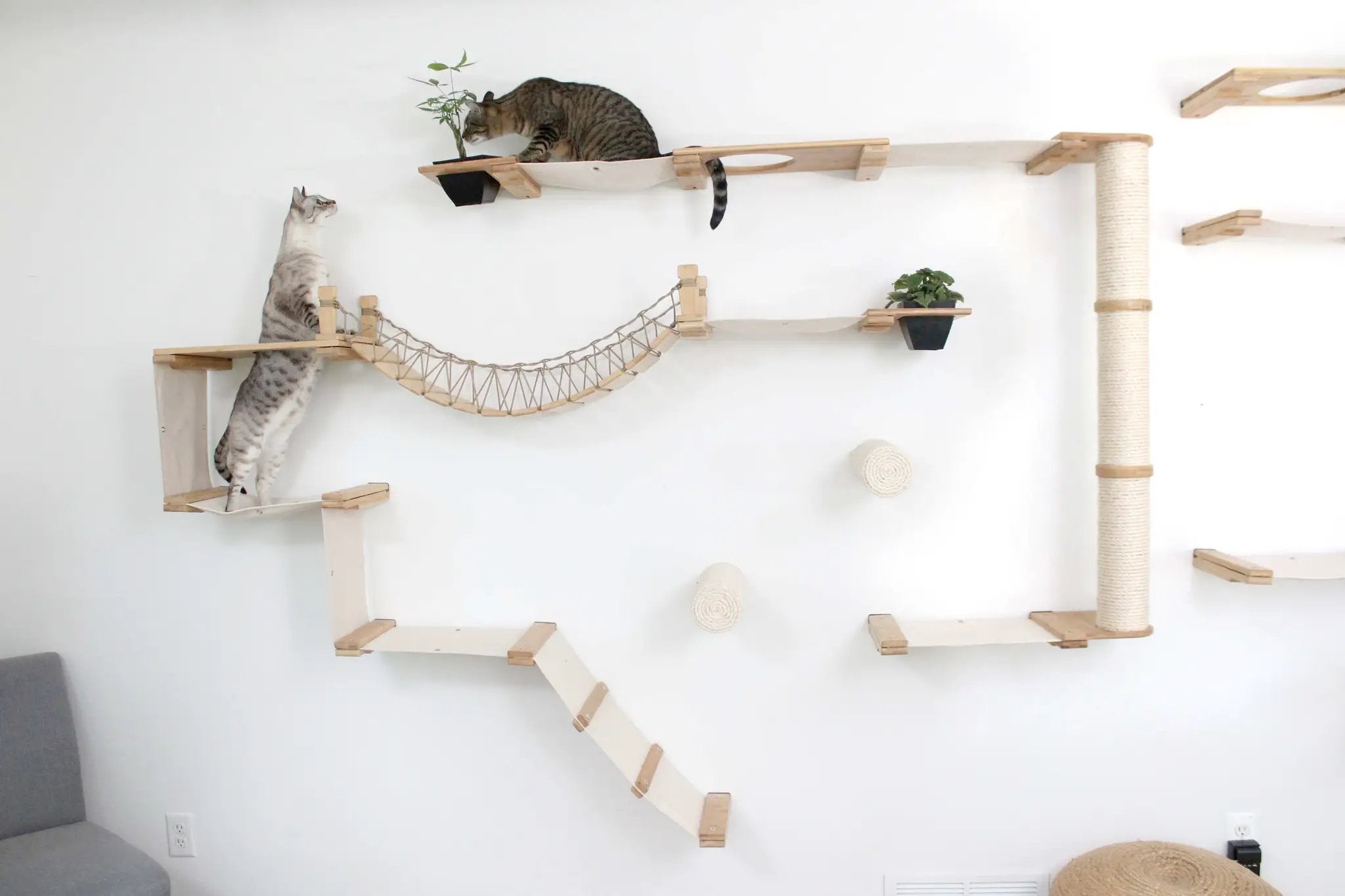The Juggernaut indoor cat condo by Catastrophic Creations; natural wood wall cat tree with rope bridge, two cats.