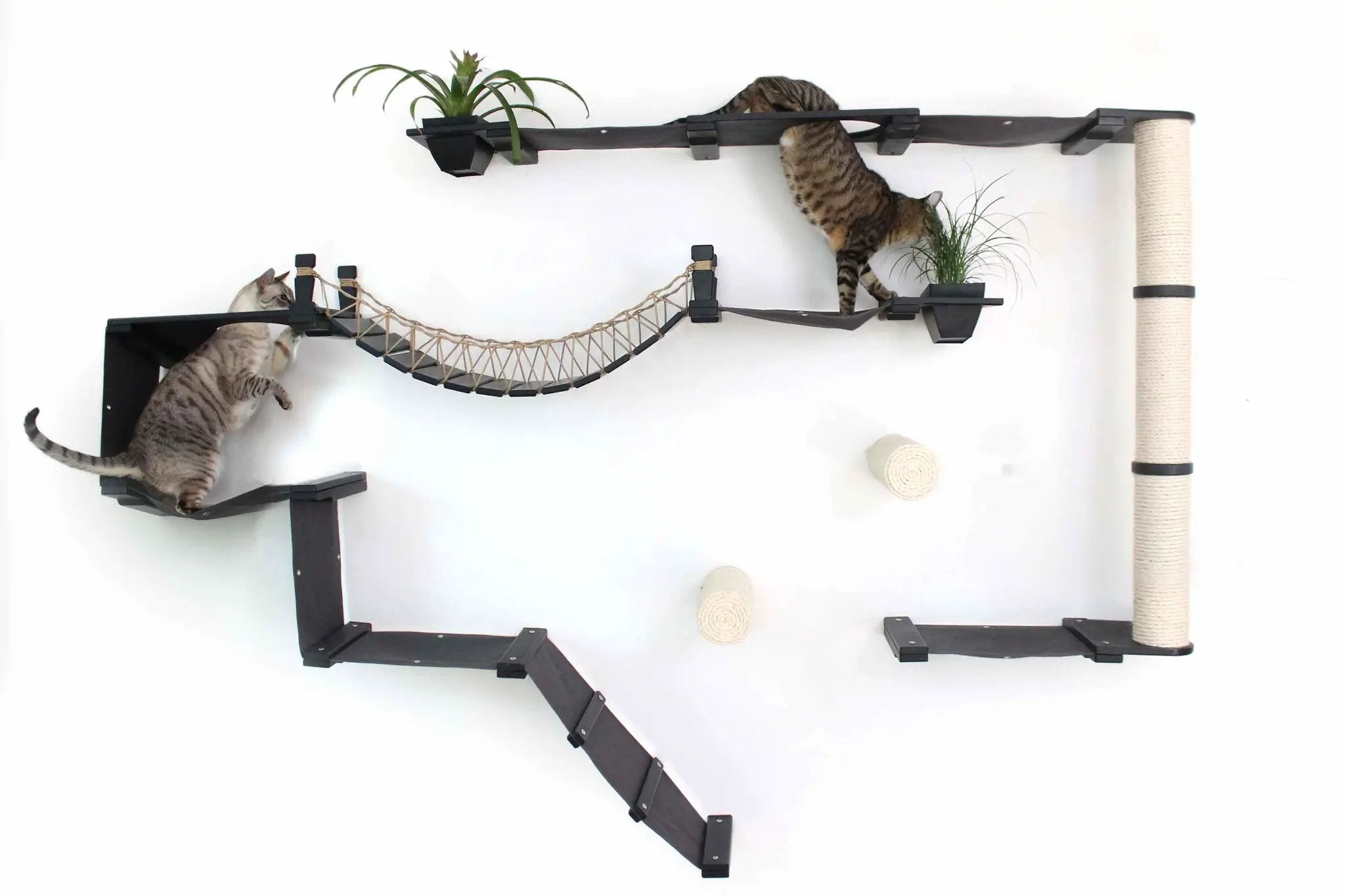 The Juggernaut wall-mounted indoor cat condo with black platforms and rope bridge, two cats exploring.