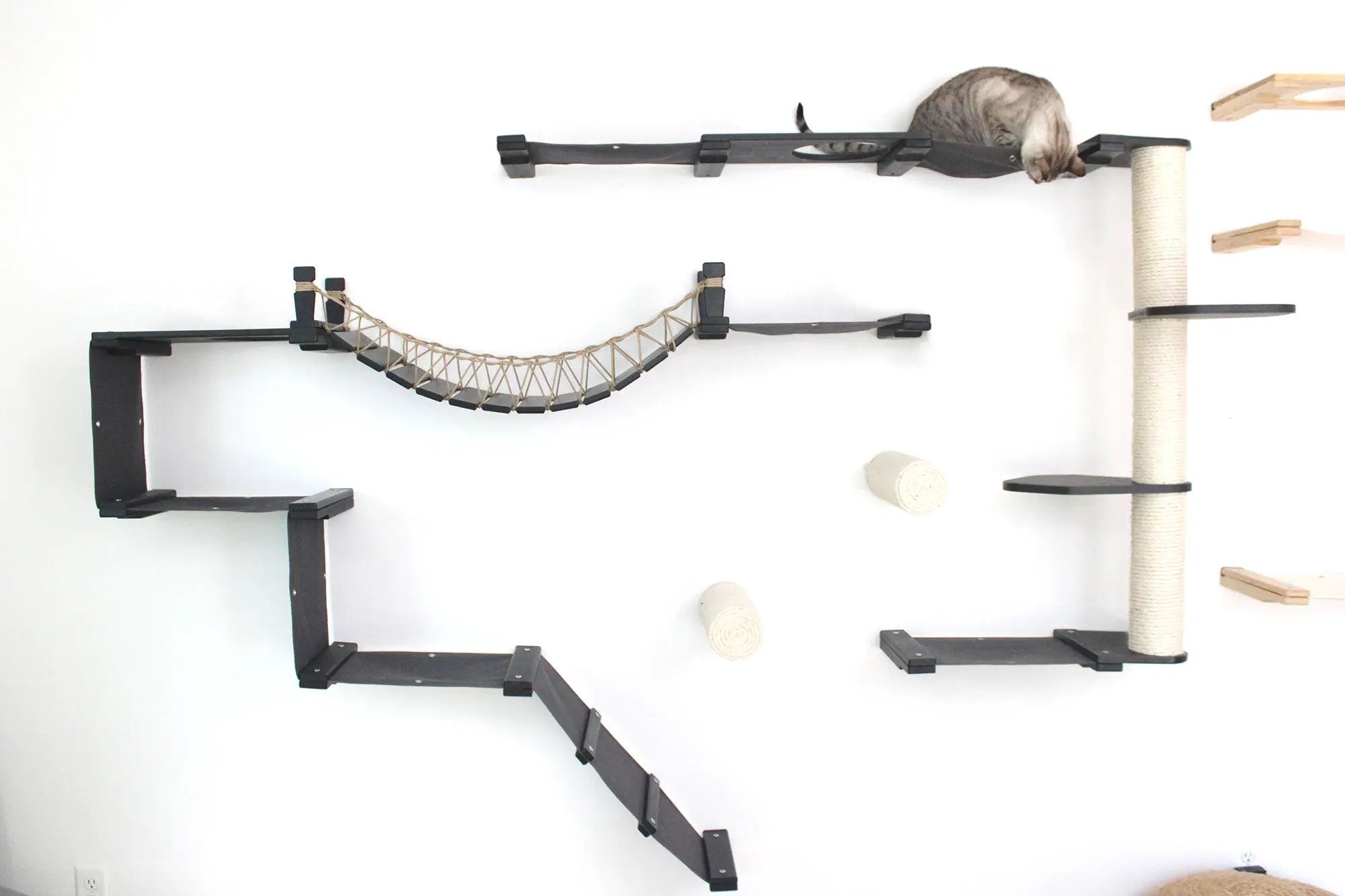The Juggernaut Cat Condo by Catastrophic Creations; wall-mounted playground with black platforms and rope hammock.
