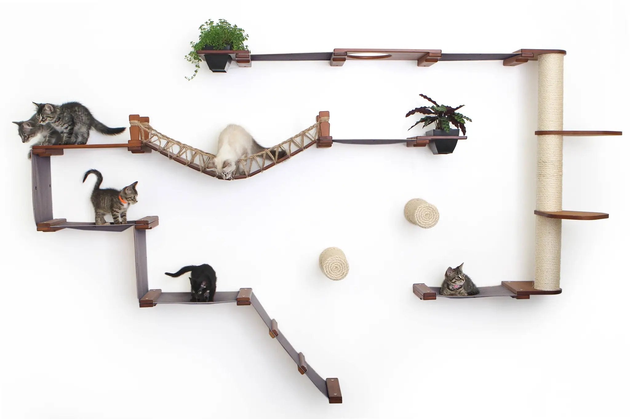 The Juggernaut wall-mounted cat condo by Catastrophic Creations; wooden cat tree with rope bridge and platforms.
