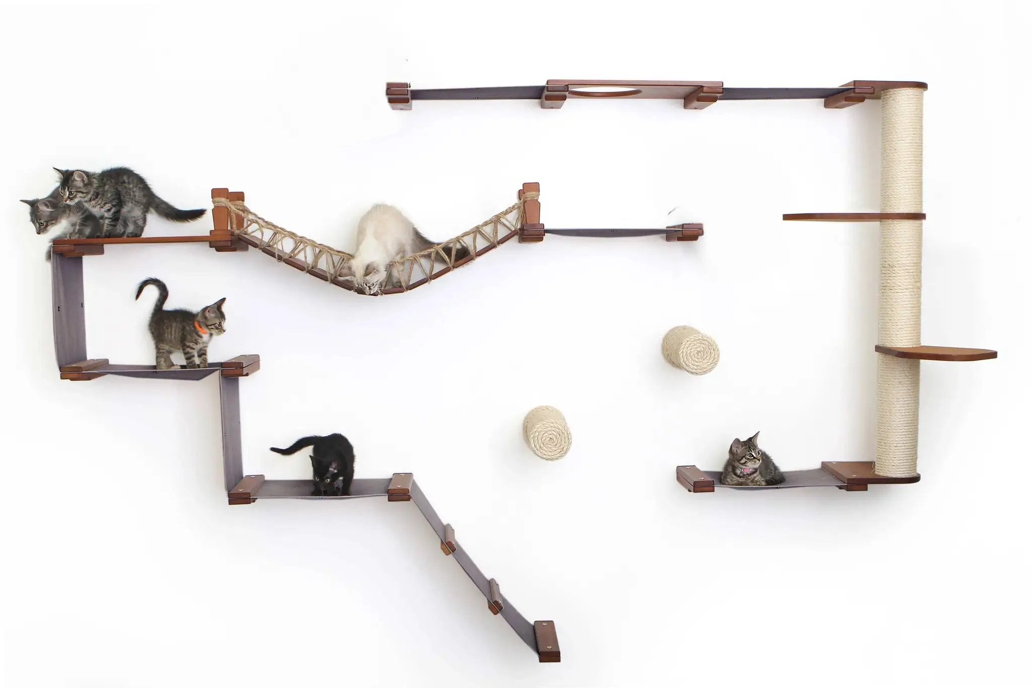 The Juggernaut wall-mounted cat condo by Catastrophic Creations; brown wood with beige sisal rope, several cats.