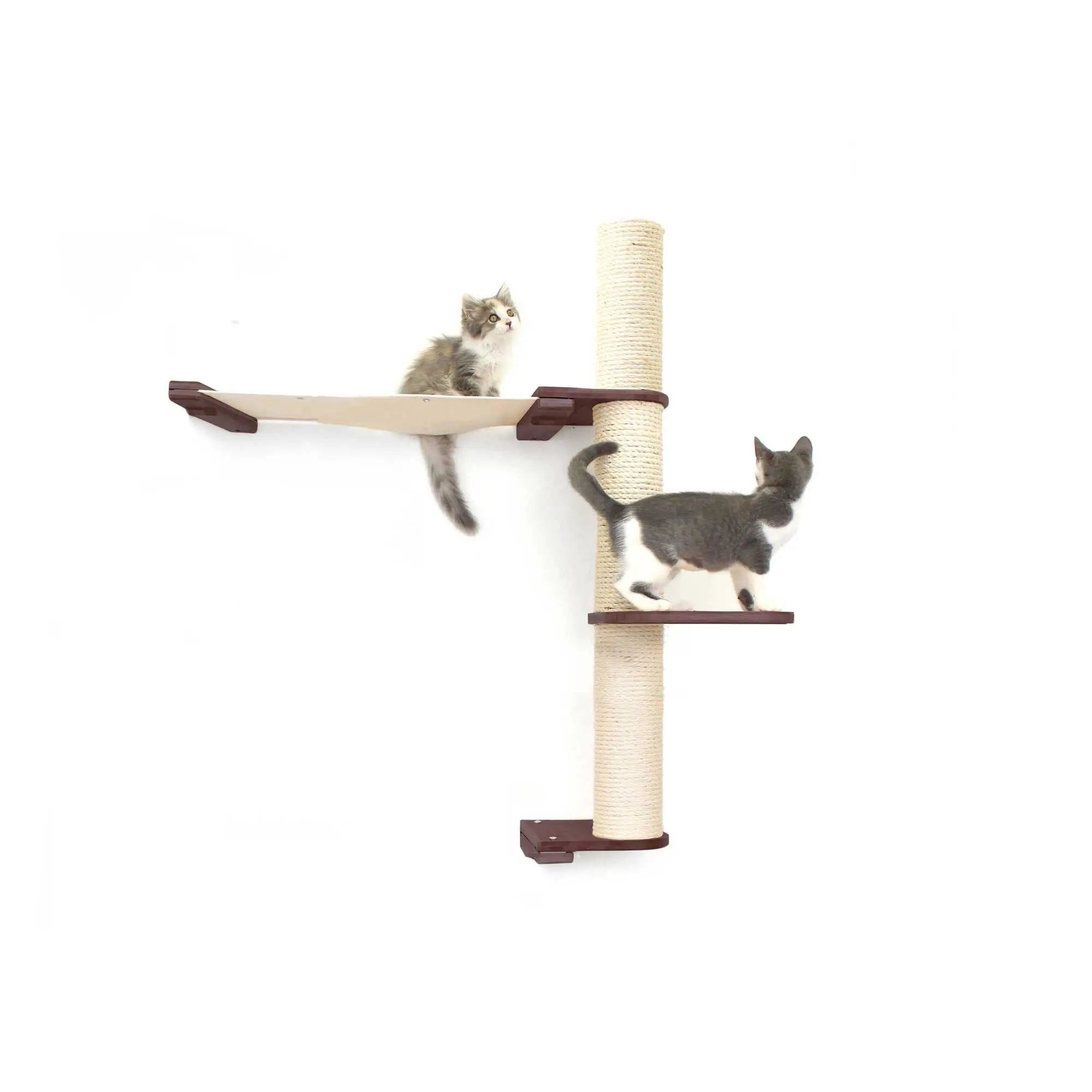 The Crow's Nest wall cat scratcher with hammock, beige sisal rope cat condo, two cats.