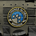 Bild in Galerie-Betrachter laden, Kiloniner Global Brigade Embroidered Morale Patch Hook 2.5 Inches by kiloninerpets
