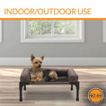 Load image into Gallery viewer, K&H Original Bolster Pet Cot Elevated Pet Bed in brown, small dog seated.
