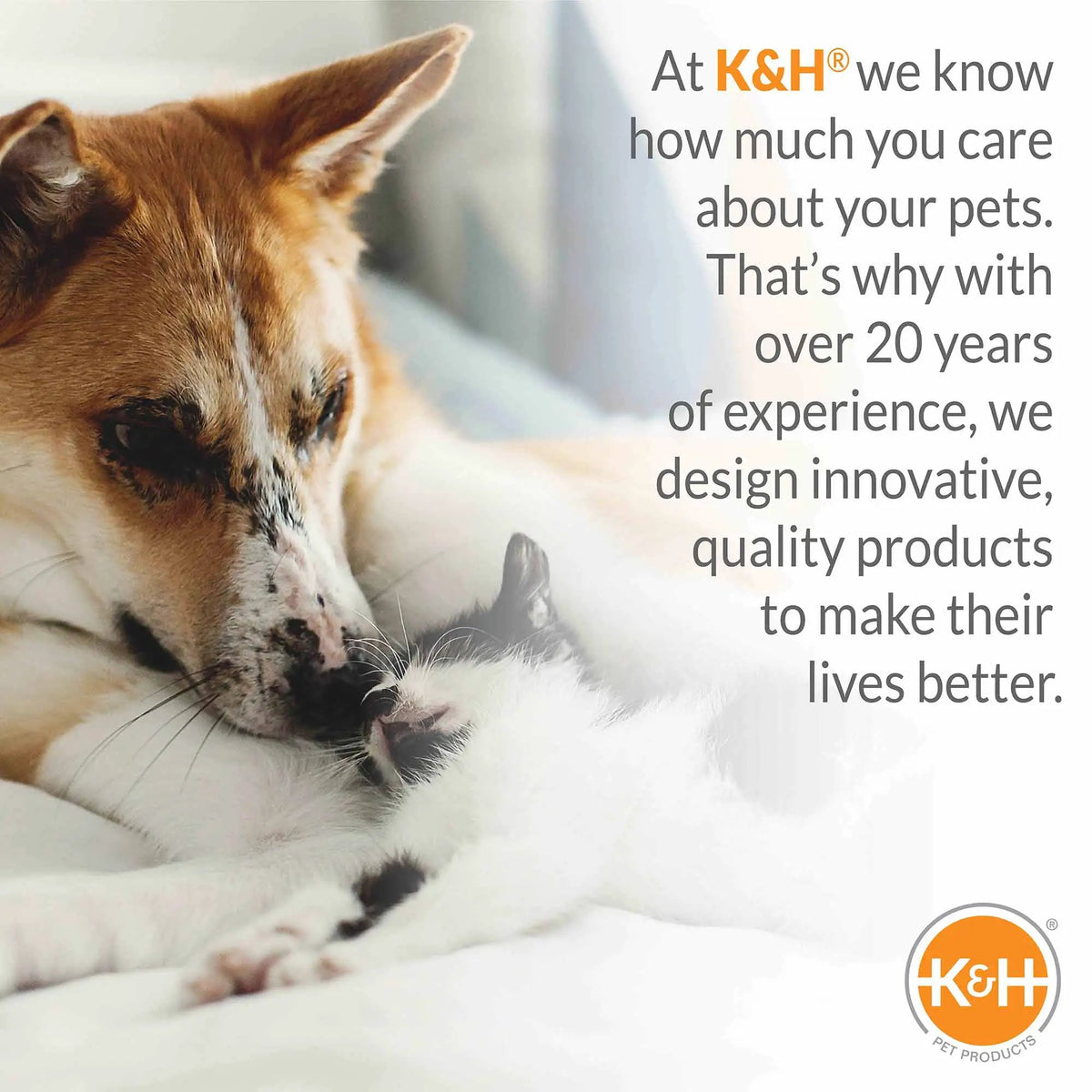 K&H Pet Products Original Pet Cot Elevated Dog Bed Realtree Edge banner featuring a close-up of a dog and the K&H logo