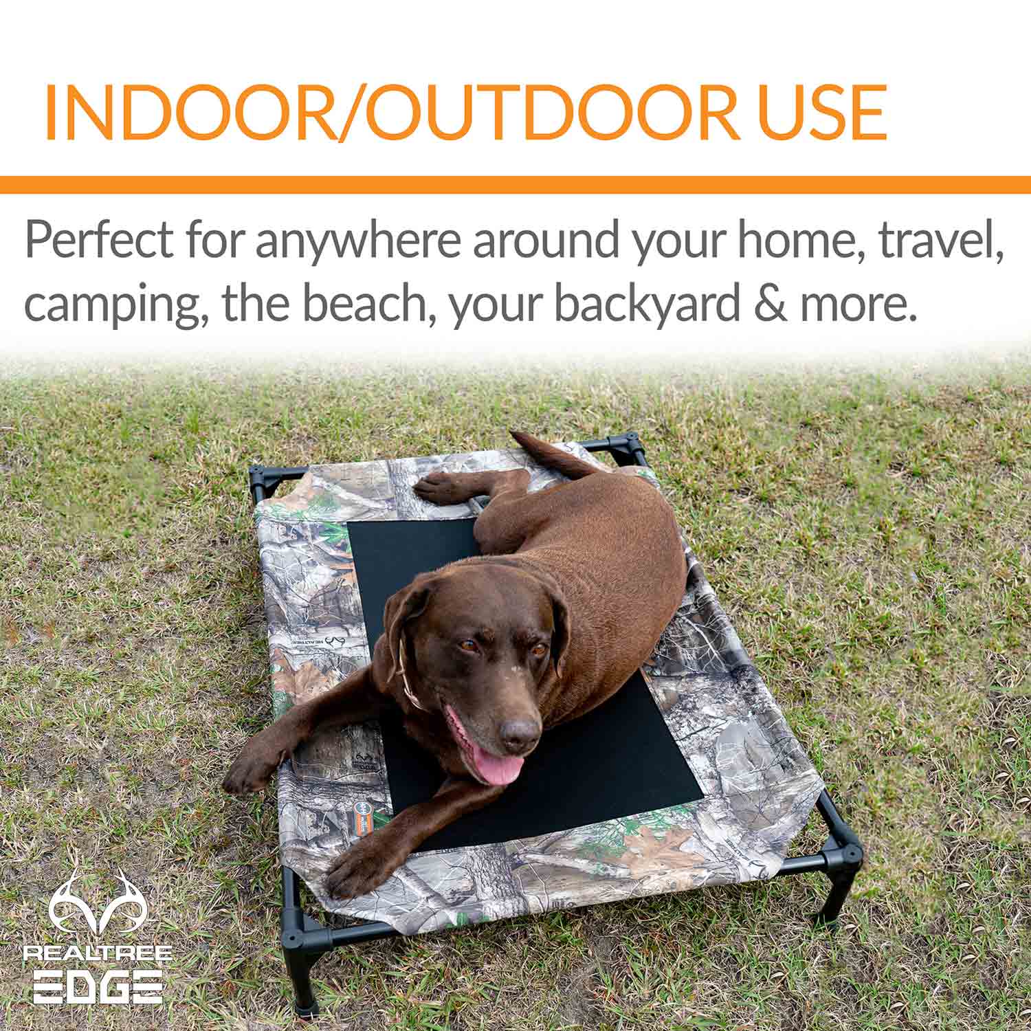 K&H Pet Products Original Pet Cot Elevated Dog Bed in RealTree Edge camouflage with a brown dog on it