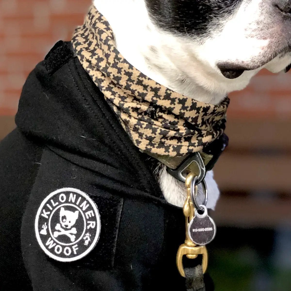 Mini Toppa Morale Nera Bianca a Ossa Incrociate per Cani 2 Pollici Ricamata con Gancio